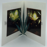 Boogie: Under Da Influenz: CD