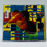 Black Grape: It's Great When You're Straight: CD
