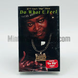 Freak Nasty: Do What U Feel/Da Dip: Cassette Single