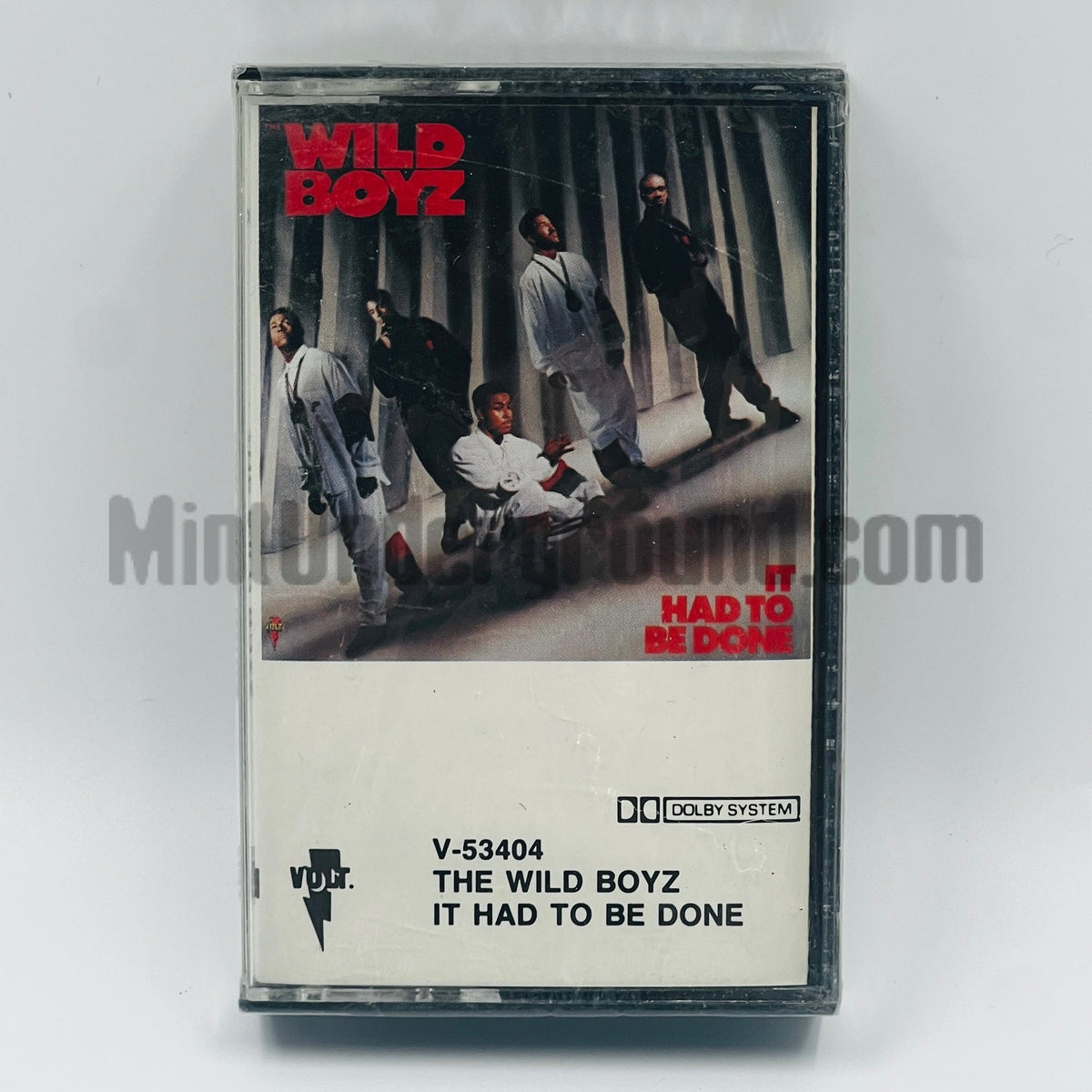 The Wild Boyz – It Had To Be Done Cassette, front cover