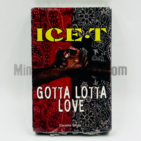 Ice-T: Gotta Lotta Love: Cassette Single