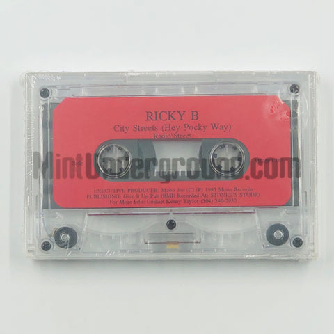 Ricky B: City Streets (Hey Pocky Way)/What School's In The House: Cassette Single