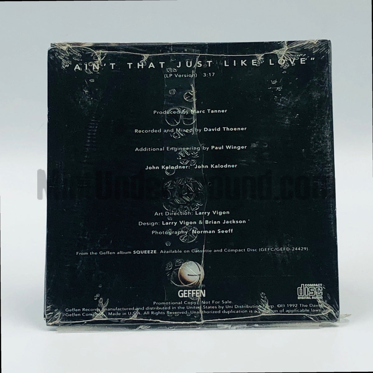 Fiona – Ain't That Just Like Love CD Single, back cover