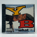 YB – I Am What I Am CD, front cover