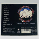 The Pimpsta & The Gangsta: The Pimpsta & The Gangsta: CD
