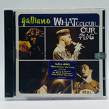 Galliano: What Colour Our Flag: CD
